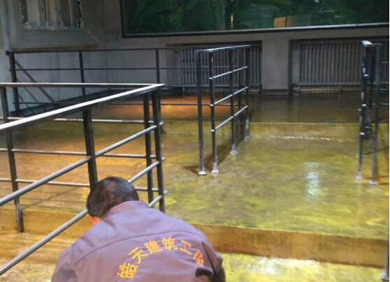 蘭州金枝鳳巢-復古環(huán)氧地坪施工