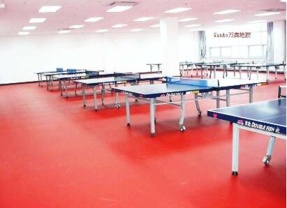 各種類(lèi)型的塑膠地板多少錢(qián)